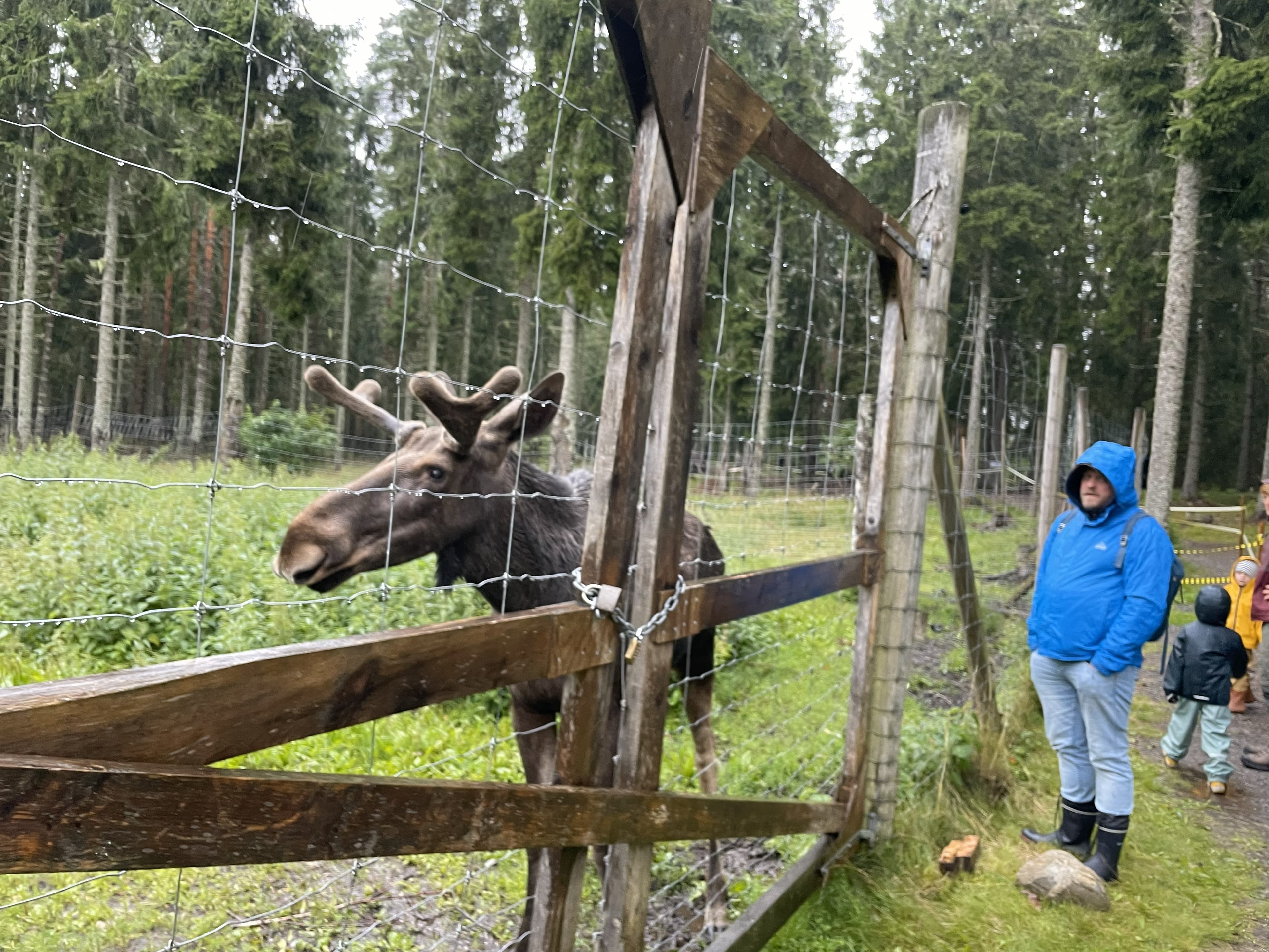 Ånimskogs Kyrkskola
