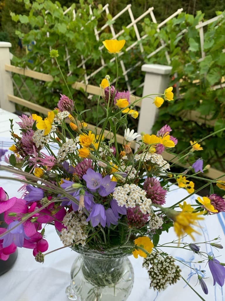 Ånimskogs Kyrkskola