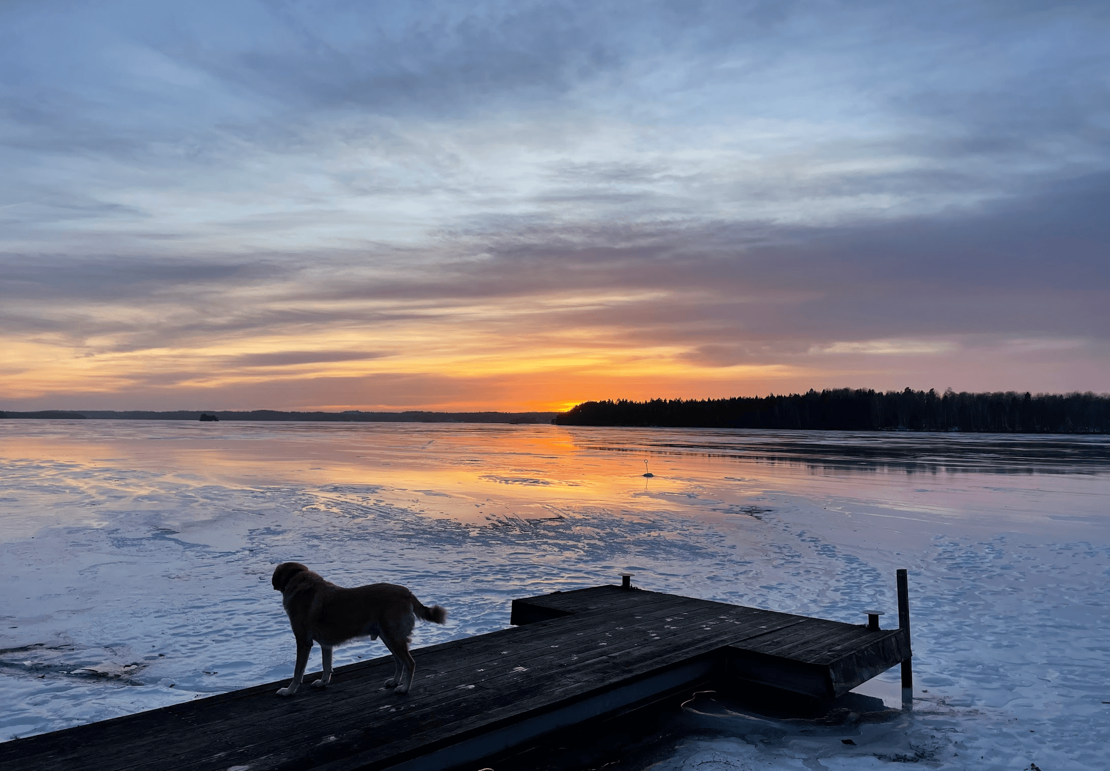 Ånimskogs Kyrkskola