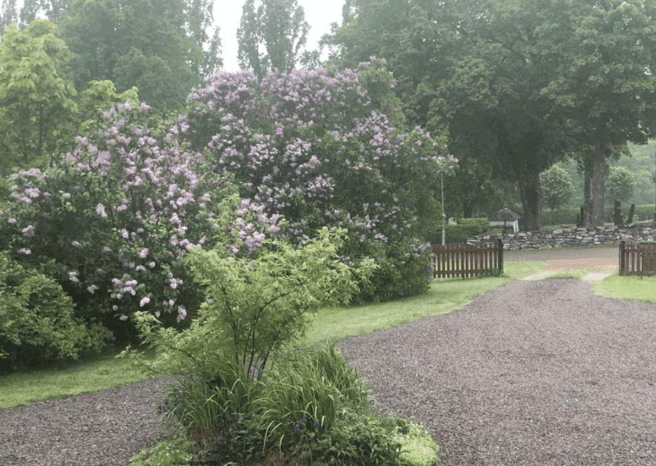 Ånimskogs Kyrkskola