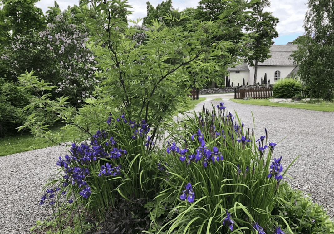 Ånimskogs Kyrkskola